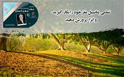کتاب صوتی، رسابوک، کتابخانه صوتی و تصویری، نکات ایمنی به هنگام باز کردن بسته